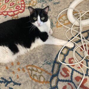 I've had it with this housework.